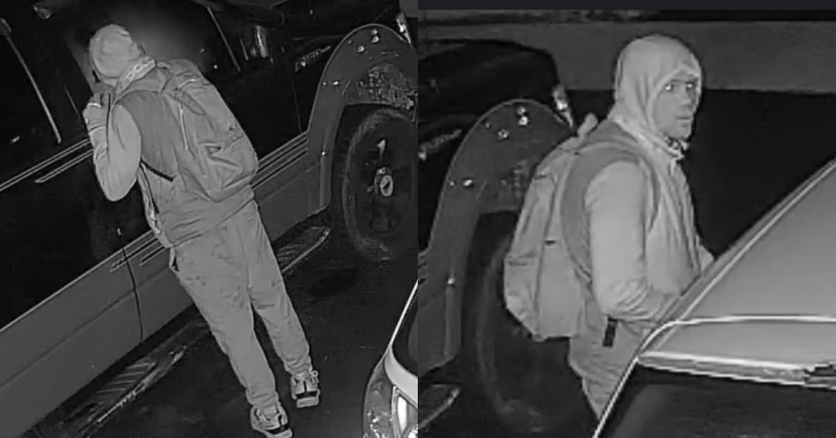Police search for suspect accused of breaking into 32 vehicles in Mississauga