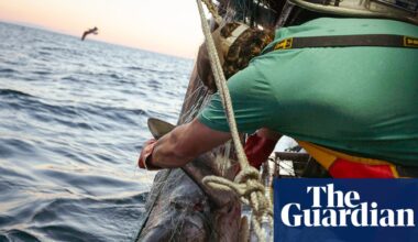 Trump’s executive order on recreational fishing is a ‘giveaway of fish and ocean ecosystem’, advocates warn | US news