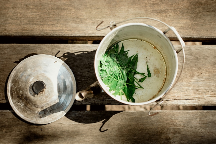A kettle with river mint leaves brewing