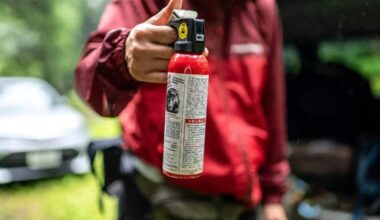 Japan government releases tips on bear spray use amid concern over bear attacks