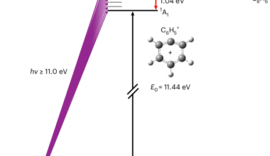 Reply to: Evidence for phenylium reactivity under interstellar-relevant conditions