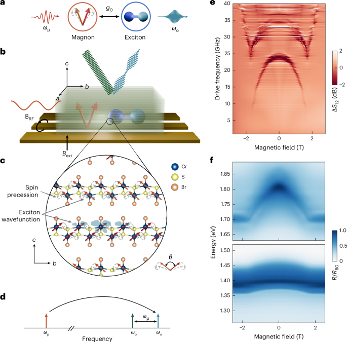 Microwave-to-optical transduction using magnon–exciton coupling