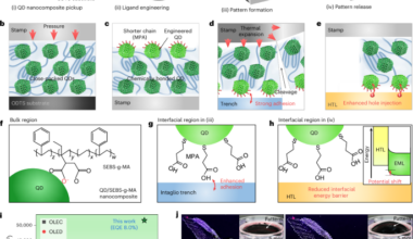 High-resolution intrinsically stretchable quantum-dot displays through thermally assisted intaglio transfer printing
