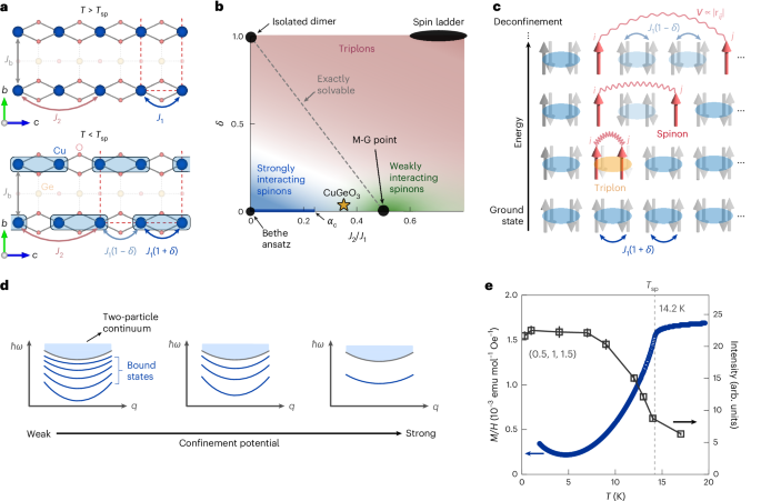 Weakly interacting spinons and tightly bound triplons in the frustrated quantum spin-Peierls chain