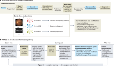 Initial lessons from real-world implementation of an AI-agent eye clinic in China