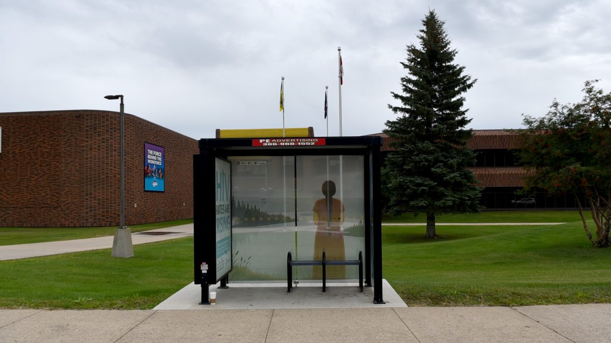 More bus shelters to get cultural makeovers 