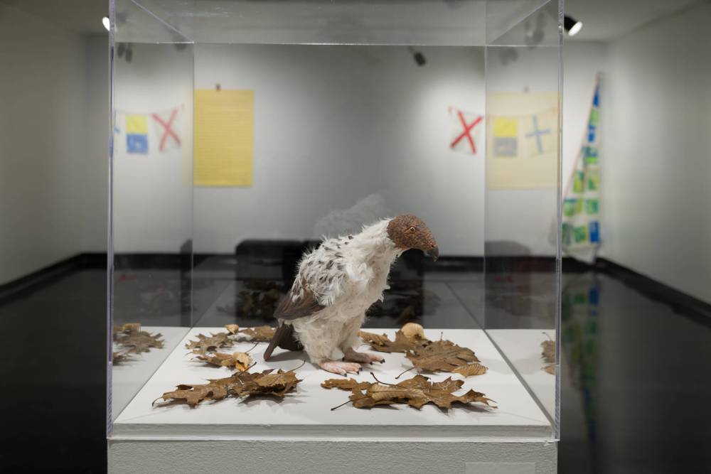 Sarah Fuller photo
Melanie Zurba’s Nothing Exists Alone