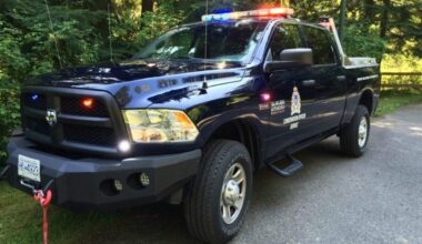 B.C. man fined $27K for feeding dangerous wildlife