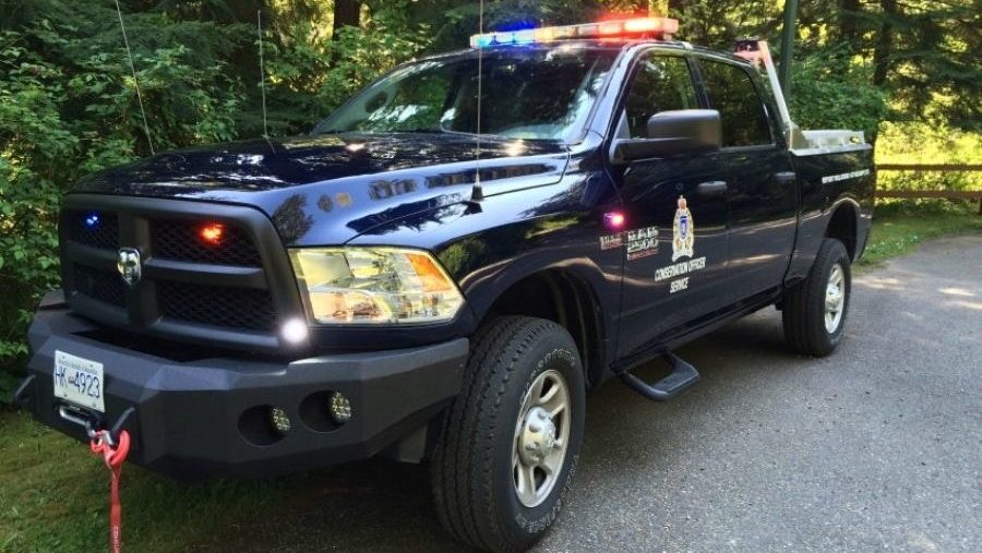 B.C. man fined $27K for feeding dangerous wildlife