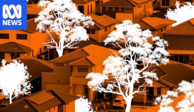 Will building more homes to solve the housing crisis cost us our trees?