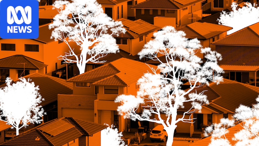 Will building more homes to solve the housing crisis cost us our trees?