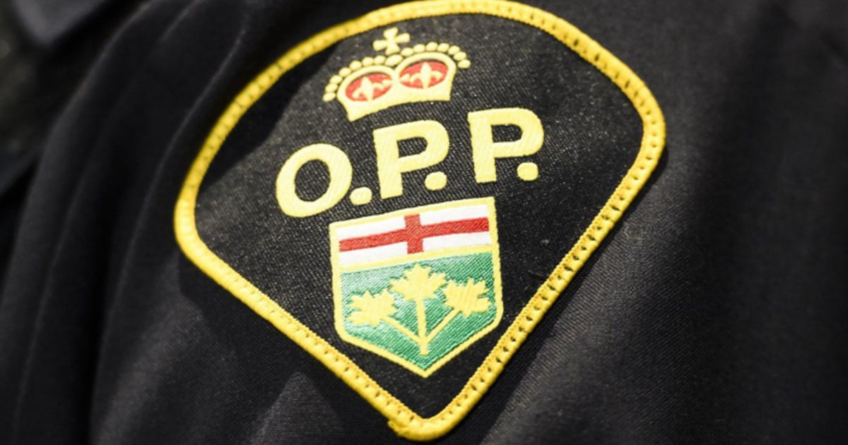 Toronto man attempted to lure kids into his car, police allege