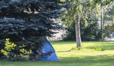 Forced treatment? St. Catharines calls for addictions, mental health support - St. Catharines Standard