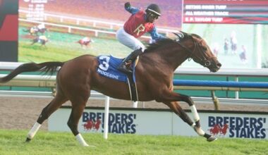 Fire and Wine Embarrasses Rivals in Breeders' Stakes