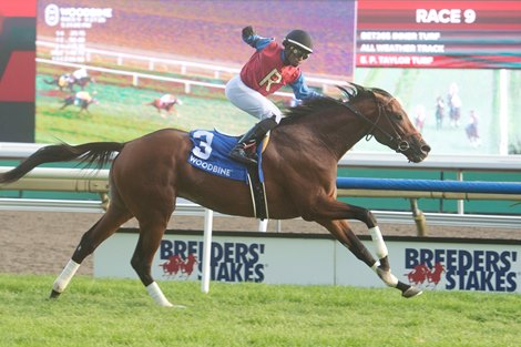 Fire and Wine Embarrasses Rivals in Breeders' Stakes