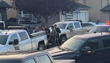 Fish and Wildlife explains why the cougar seen in Airdrie was euthanized - DiscoverAirdrie.com