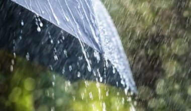 Sept. 3 weather: Showers and thunderstorms in parts of southern Ontario