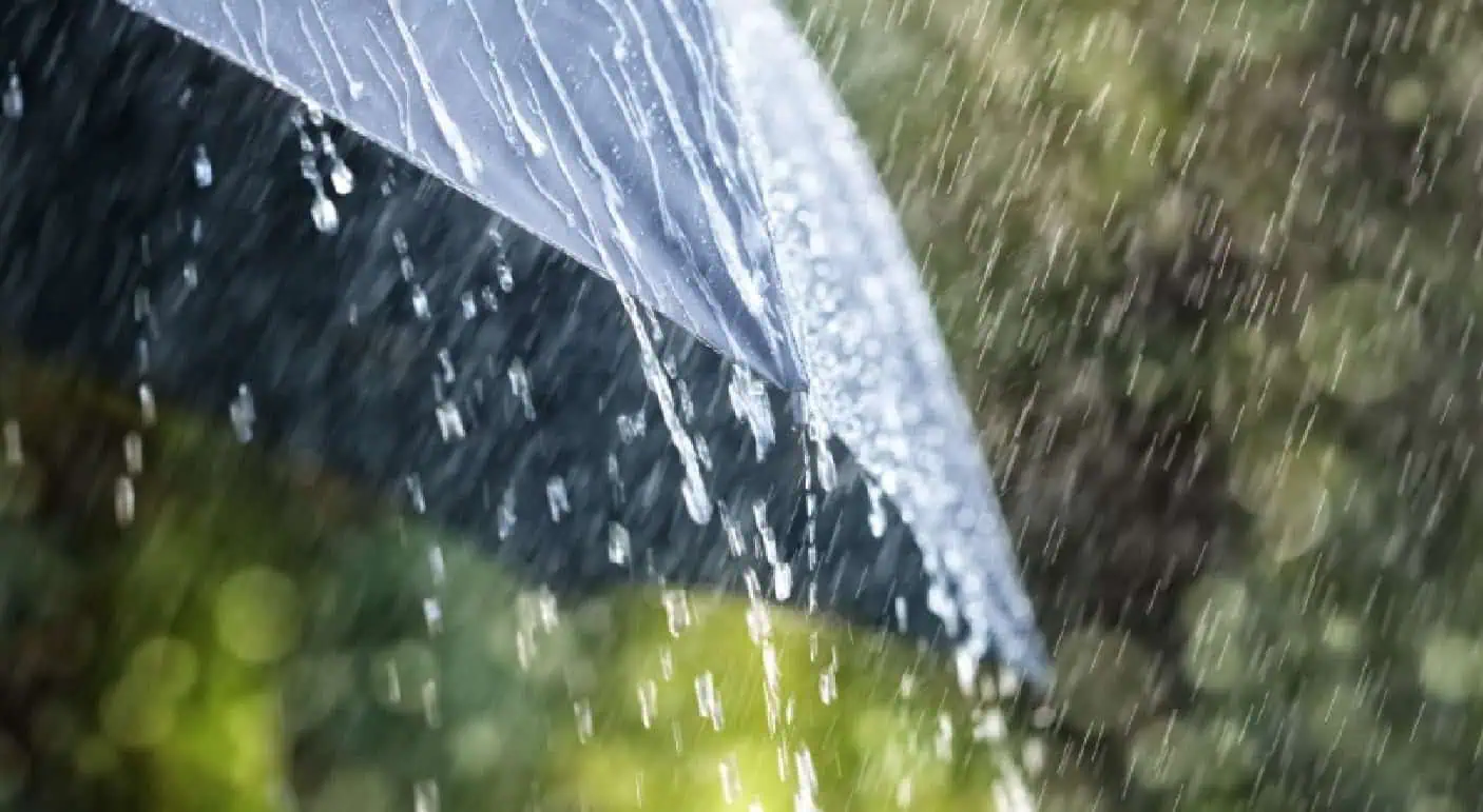 Sept. 3 weather: Showers and thunderstorms in parts of southern Ontario