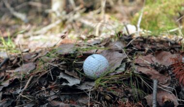 A golf ball in a horrible lie