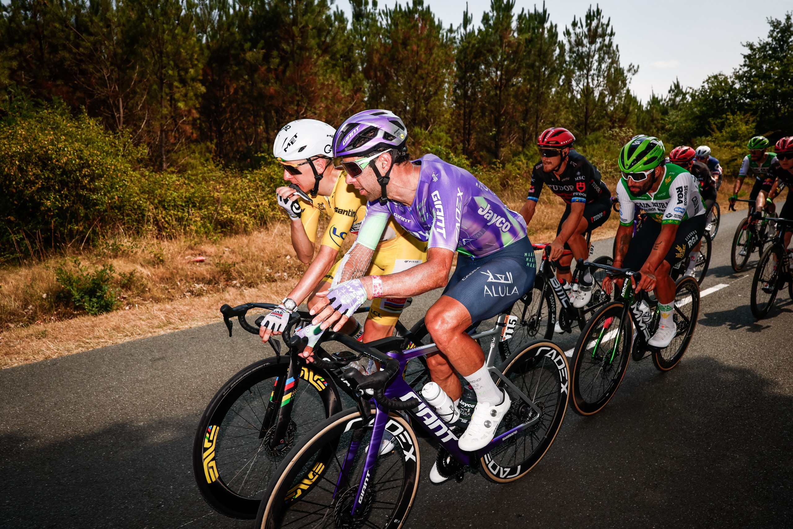 Michael Matthews speaks with Tadej Pogačar in the peloton during a stage of the 2026 Tour de France