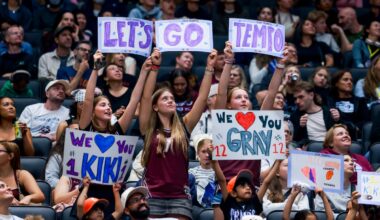 As Toronto Tempo fandom hits fever pitch, brands sense an opportunity