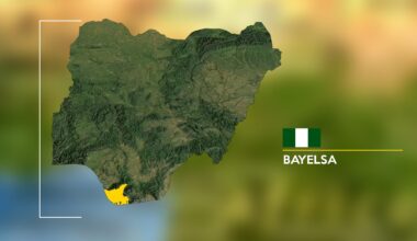 Bayelsa evacuates lunatics from streets  – Daily Trust