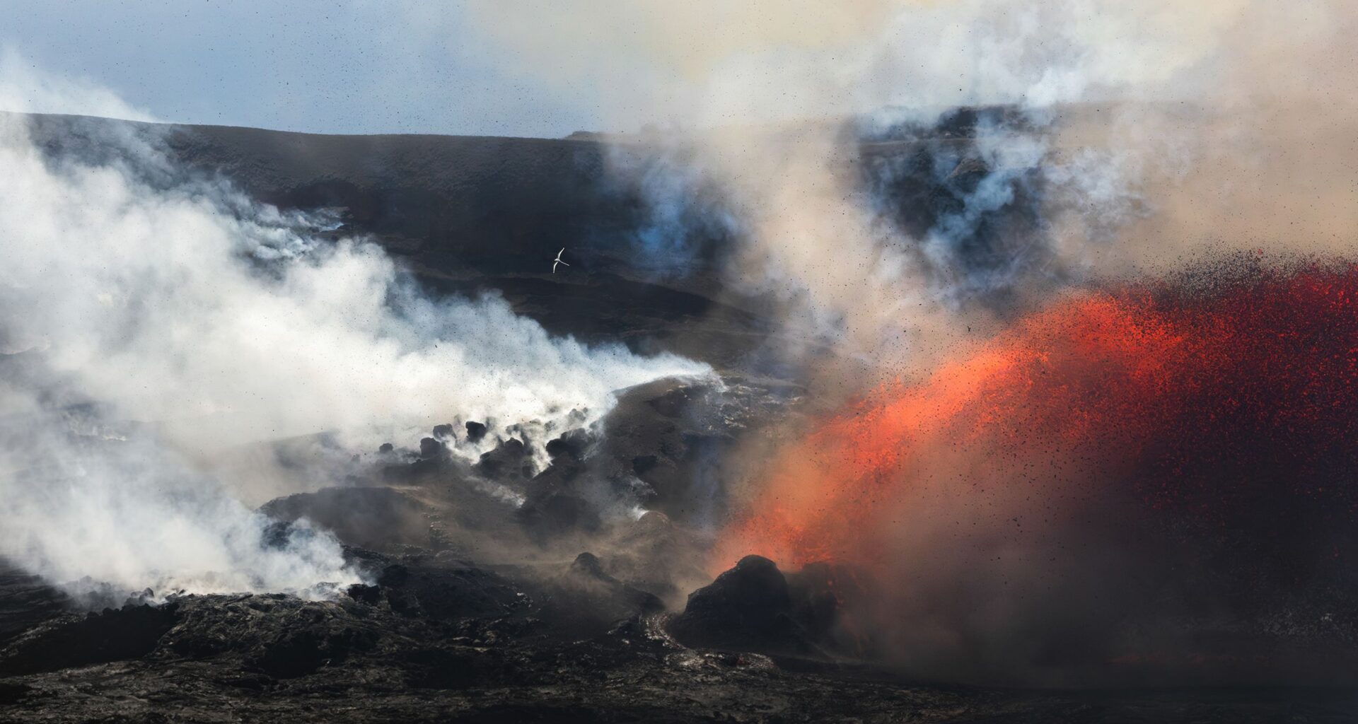 "I spent 10 days scouting and waiting at the Halema'uma'u Crater before the Kīlauea volcano erupted," says award-winning nature photographer who captured a white-tailed tropicbird rising above volcanic gases and red lava