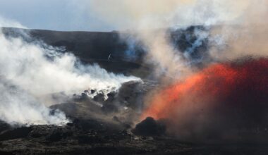 "I spent 10 days scouting and waiting at the Halema'uma'u Crater before the Kīlauea volcano erupted," says award-winning nature photographer who captured a white-tailed tropicbird rising above volcanic gases and red lava