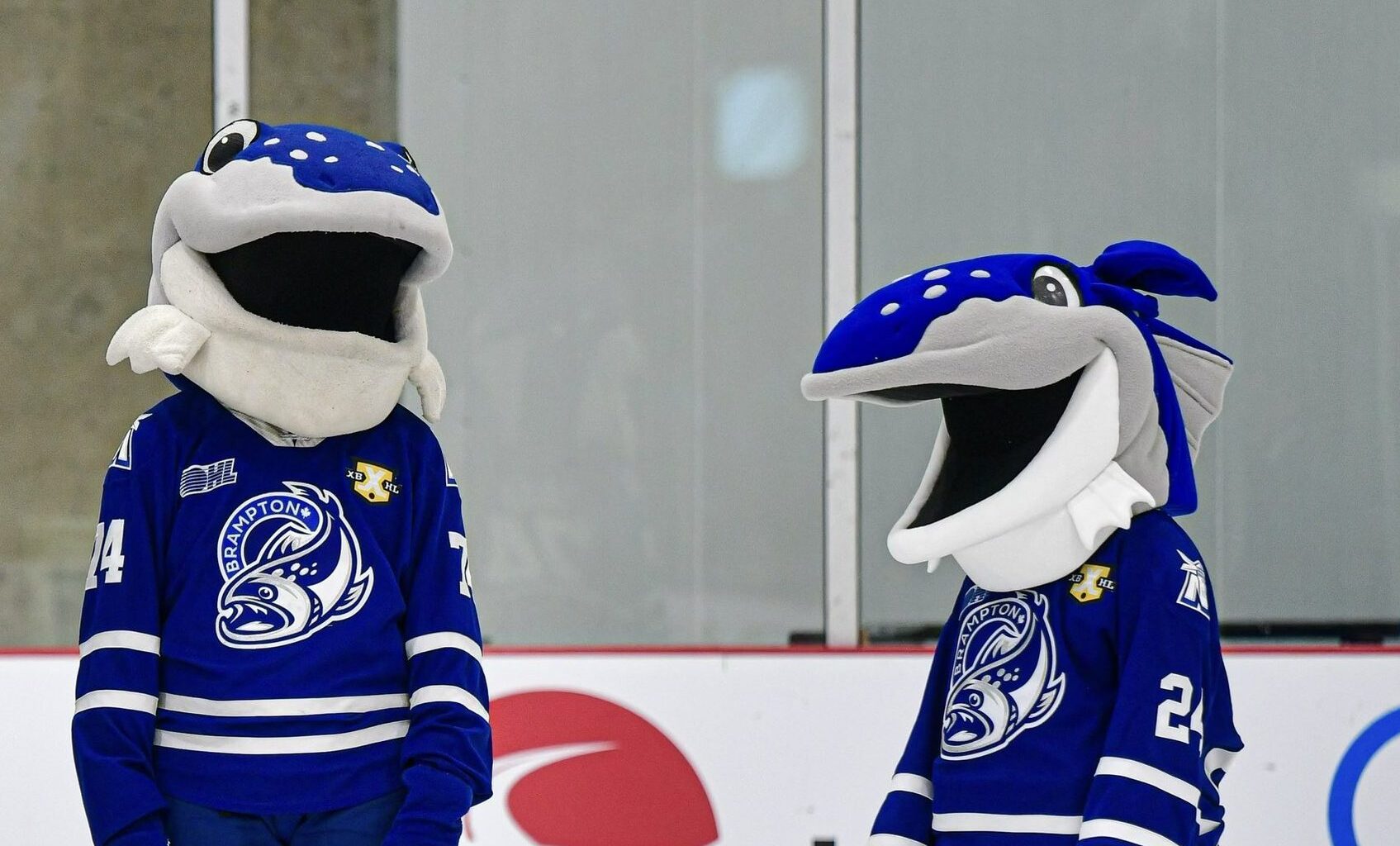 Mall offers game-day deals and shuttle to Steelheads home opener in Brampton