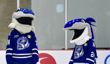 Mall offers game-day deals and shuttle to Steelheads home opener in Brampton