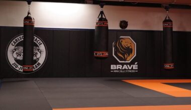 Ottawa fights youth crime, gangs with Edmonton boxing program