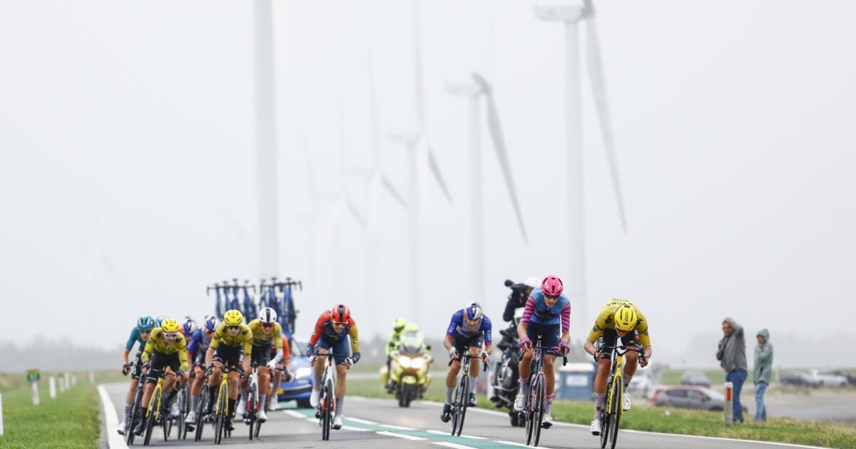 Team Visma | Lease a Bike