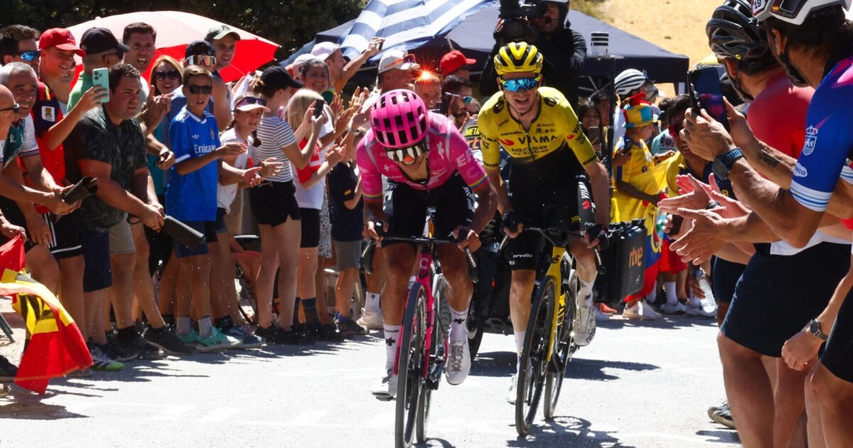 Team Visma | Lease a Bike