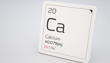 CAC-based statin initiation shows no difference in major cardiovascular events