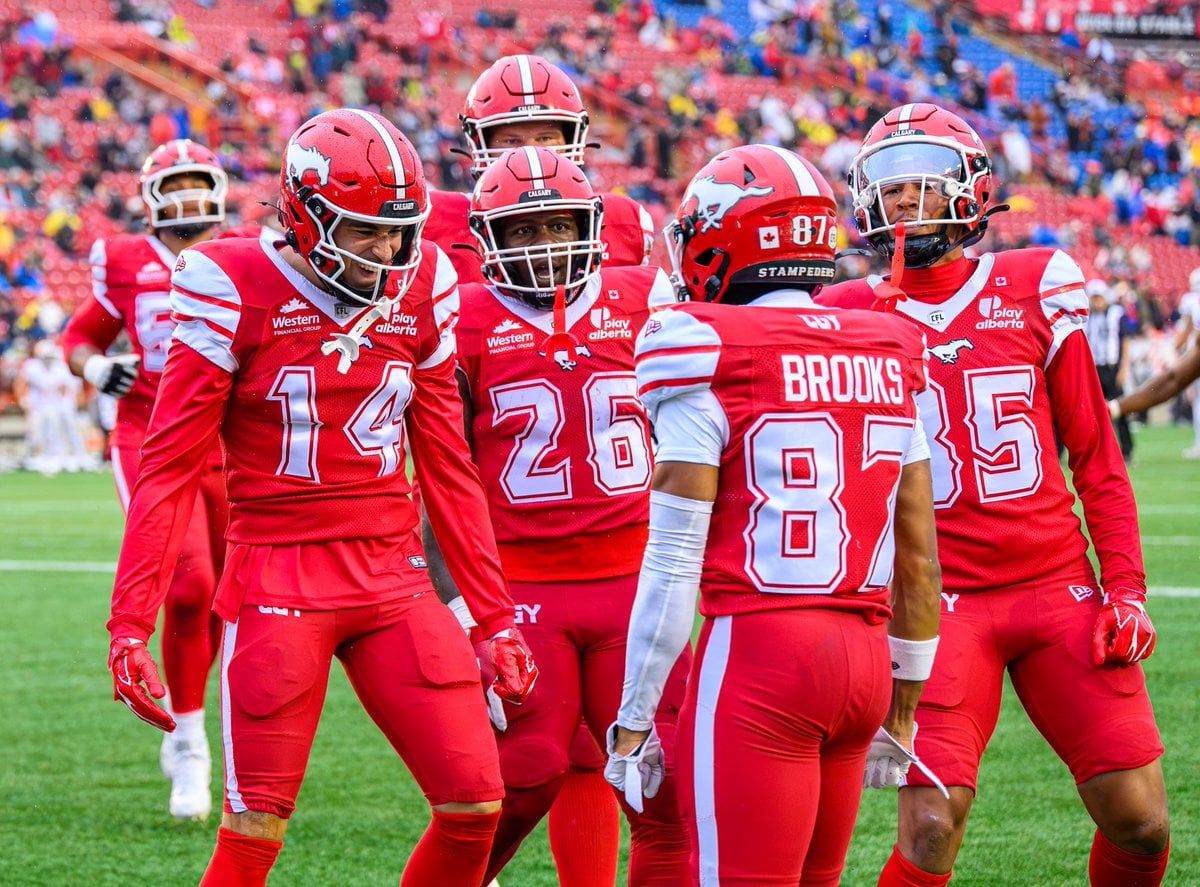 Stampeders vs. Elks Prediction: CFL Week 15 Point Spread, Odds