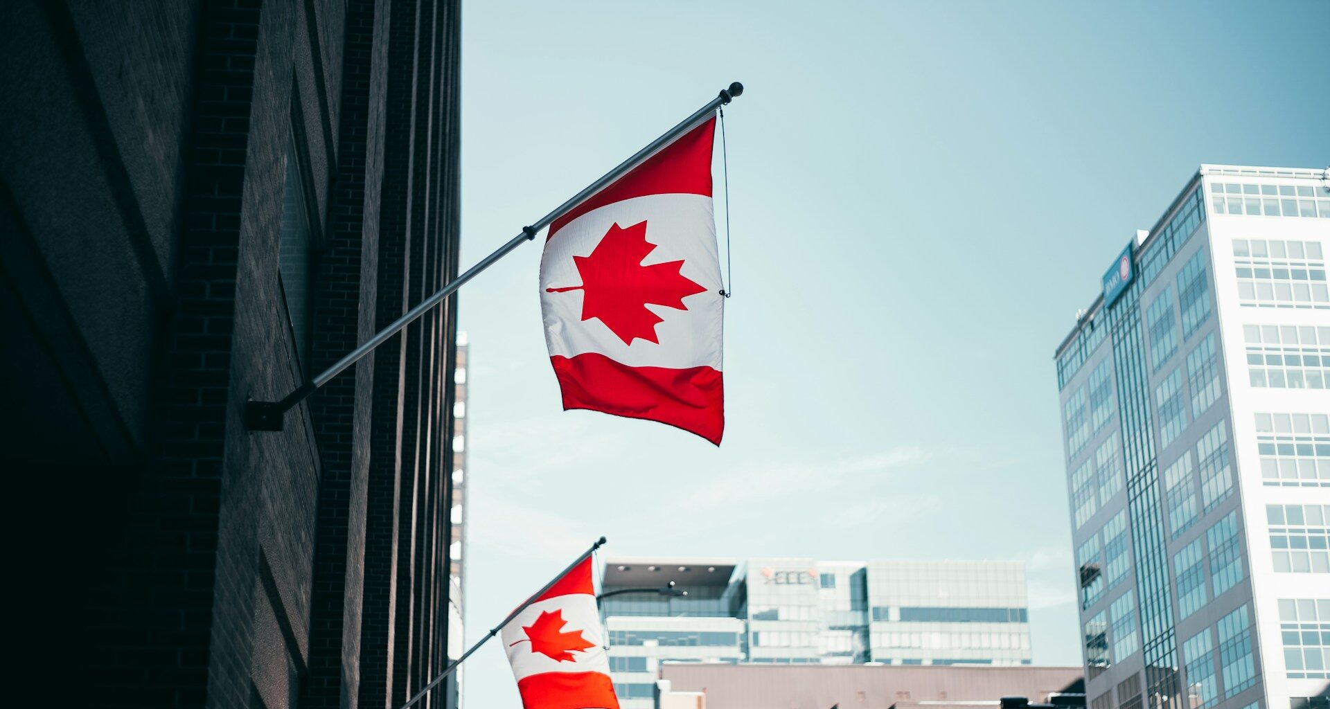 Canadian Businesses Are Optimistic, But Few Expect Sales Growth