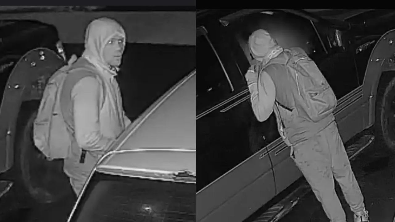 32 vehicles broken into in 30 minutes in Mississauga, man wanted.