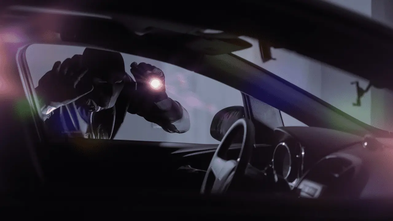 cars, stolen, overnight, 20 reports, theft, items, slash tires, suspects, wanted, safety, warning, police, investigation, Binbrook, Hamilton, Ontario.