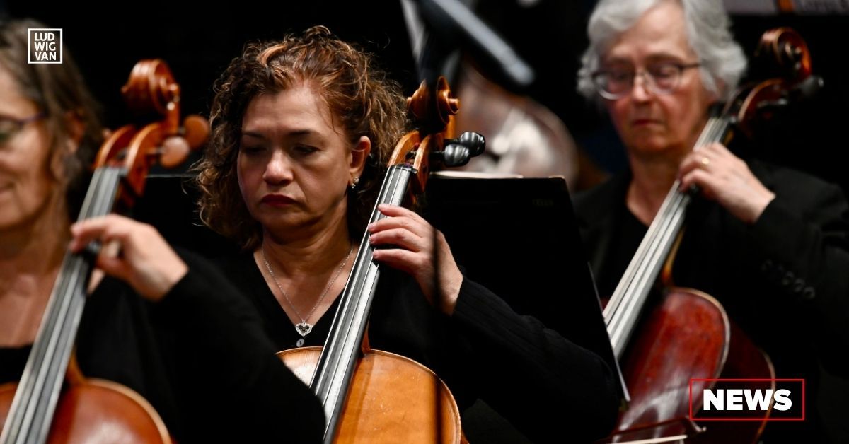 The Mississauga Symphony Chamber Orchestra (Photo courtesy of the MSO)