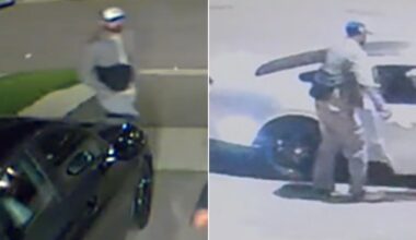 Man wanted in Brampton stabbing and 3 attempted carjackings