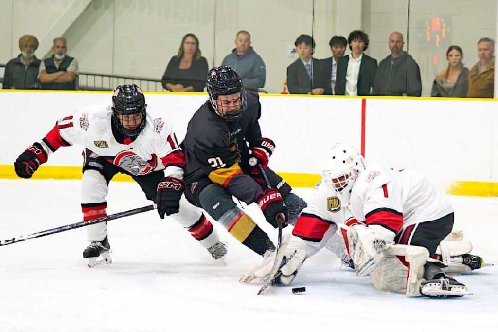 Surrey Knights ice young team under new coach/GM Robinson, PJHL vet