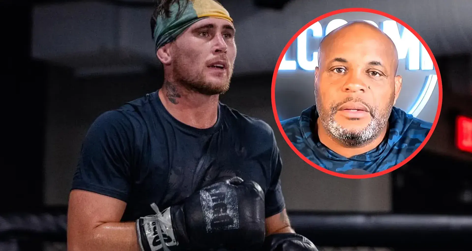 Dana White