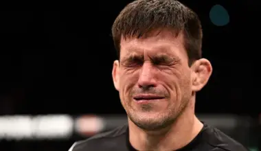 UFC belt