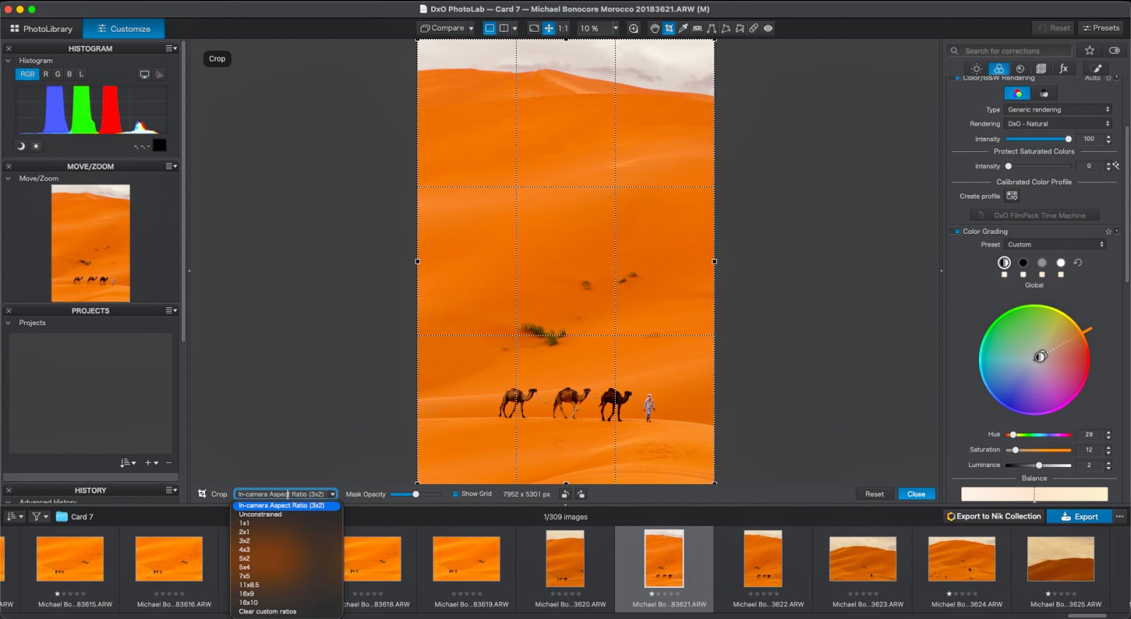 A computer screen displays the DxO PhotoLab software interface with a vertical crop tool active over a desert landscape featuring camels and a person walking on sand dunes.