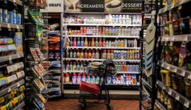 The dangers of letting AI agents do your shopping
