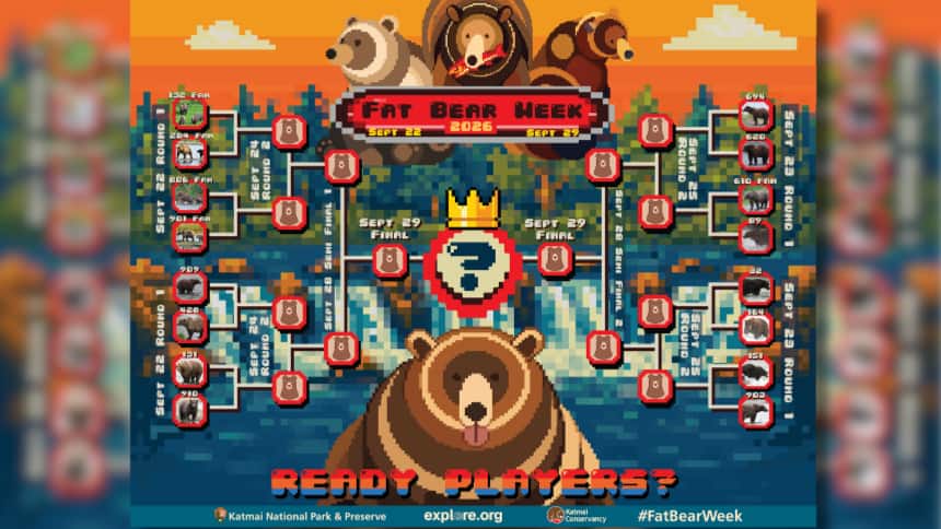 A pixel style graphic of a voting bracket for Fat Bear Week, featuring illustrations of fat bears and the text “READY PLAYERS?”