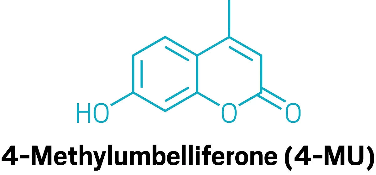 A line structure of 4-methylumbelliferone, or 4-MU.