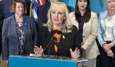 B.C. Conservative party official allegedly hired private investigator to scrutinize MLAs
