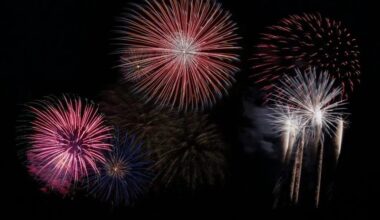 Fireworks complaints kept to a minimum over long weekend in Mississauga