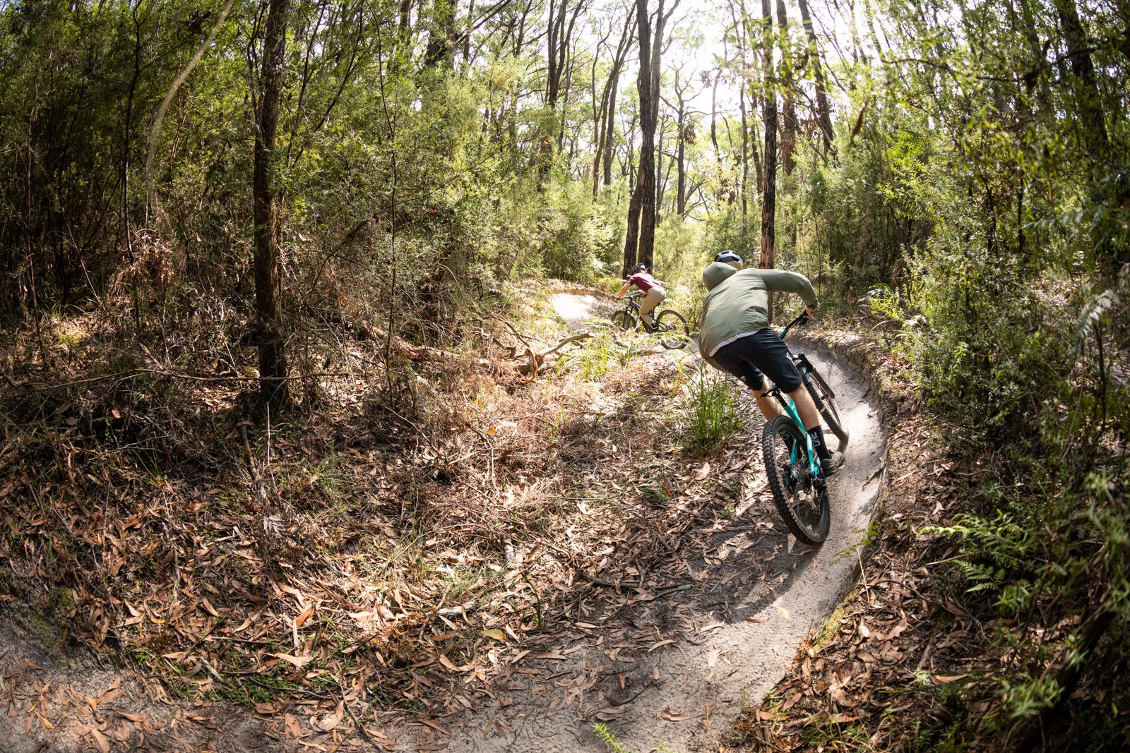 Yaugher Trails Forrest Mountain Bike Park. 
